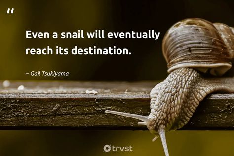 Snail Quote, Common Idioms, Iris Murdoch, Anne Sexton, Houses In America, Charles Spurgeon, Quote Inspirational, Funny Quotes, Quotes