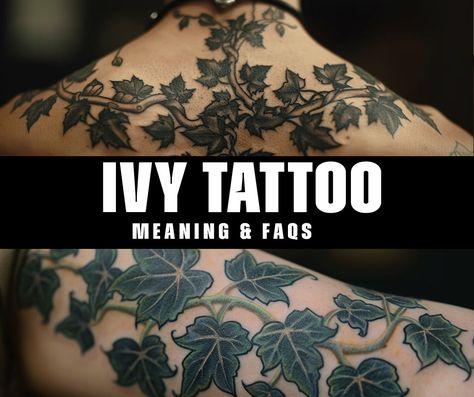 What is the significance of an ivy tattoo? Irish Ivy Tattoo, Ivy Spine Tattoos For Women, Ivy Hand Tattoos For Women, Black Ivy Tattoo, Snake And Ivy Tattoo, Ivy Tattoo Men, Ivy Back Tattoo, Ivy Flower Tattoo, Ivy Vines Tattoo