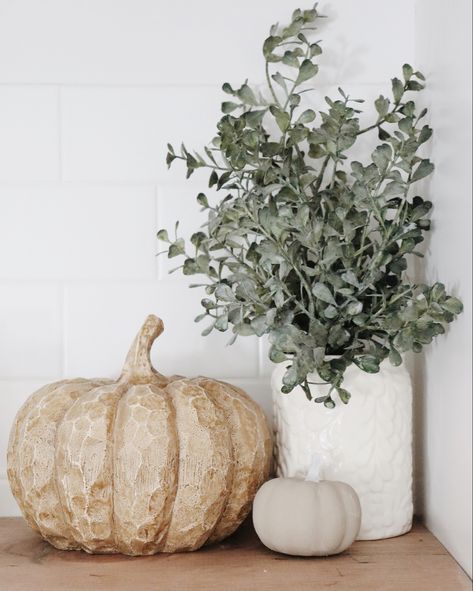 Minimal Fall Decor, Minimalist Fall Decor, Boho Fall Decor, Neutral Fall Decor, Fall Living Room Decor, Fall Living Room, Cozy Fall Decor, Fall Decor Inspiration, Fall Thanksgiving Decor