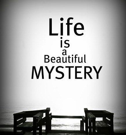 LIFE IS A BEAUTIFUL MYSTERY - ANYONE ELSE AGREE? The other day I was out on the driveway with my 13-month old daughter and she kept trying to sprint directly into the street. And I kept having to stop her again and again and again. And I just kept thinking of all the times in my life the door kept slamming in my face over and over again. And like my baby girl I would get so angry and shake my fists and ask God what was he thinking?! Luckily were allowed to grow wiser as we grow older and as clic Mysterious Quotes, The Words, Beautiful Words, Thought Provoking, Inspirational Words, Love Life, Words Quotes, Life Lessons, Favorite Quotes