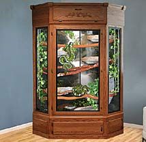 Majestic Reptile Cage Photo Wall Snake Cages, Diy Reptile, Snake Terrarium, Bearded Dragon Cage, Snake Enclosure, Snake Tank, Bearded Dragon Care, Reptile Room, Reptile Terrarium