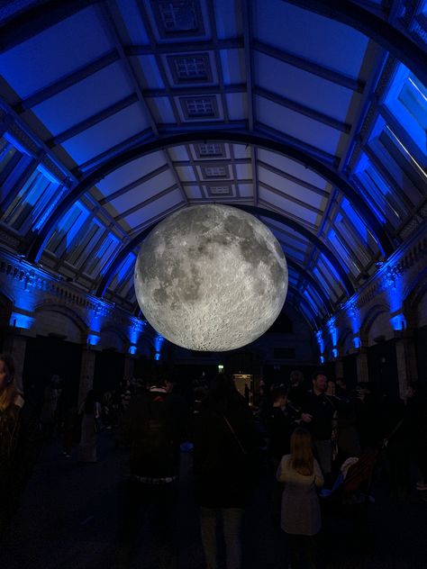 National History Museum, Natural History Museum, History Museum, London Travel, Natural History, Ferris Wheel, Fair Grounds, Celestial Bodies, Moon