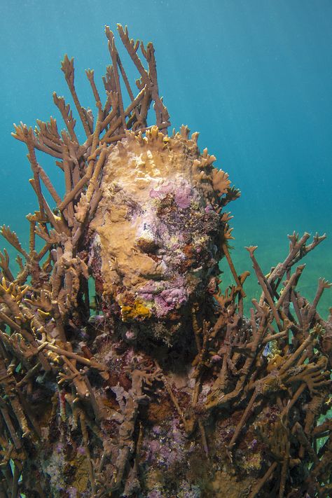 Jason deCaires Taylor, a neighboring exhibitor at the 57th Venice Biennale, has been making sunken statues since 2006. Natural Forms Sculpture, Underwater Statues, Jason Decaires Taylor, Underwater Sculpture, Sculpture Museum, Sunken City, Rising Tide, Sculpture Ideas, Damien Hirst