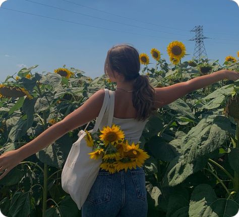 Sun Flower Pictures Ideas, Sunflower Patch Photoshoot, Sunflower Farm Photoshoot, Sunflower Picking, Sunflower Maze, Sunflower Field Photoshoot, Pic Mood, Sunflower Patch, Flowers And Gifts