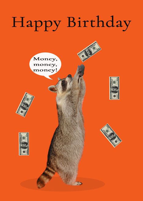 Raccoon Birthday, Money Falling, Birthday Money, Happy Birthday Meme, Bday Cards, Free Ecards, Birthday Meme, Cards Design, Wedding Card Design