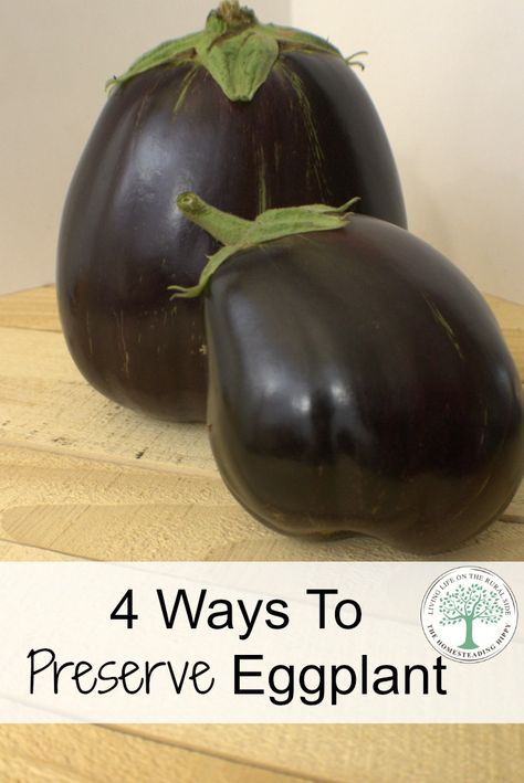 Did you know there were at least 4 ways to preserve eggplant?  Really!  I'll… Preserve Eggplant, Preserving Eggplant, Canning Eggplant, Freezing Veggies, Preserving Vegetables, Eggplant Recipes Easy, Freezing Vegetables, Canning Food Preservation, Egg Plant