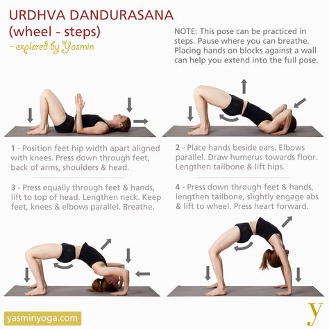 Bridge Pose, Yoga Moves, Iyengar Yoga, Yoga Exercises, Yoga Postures, Yoga Stretches, Yoga Sequences, Yoga Tips, Yoga Teacher Training