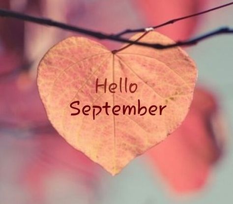 Hello September Heart Leaf september hello september welcome september happy… Tuesday Thoughts, Welcome September, Heart In Nature, Hello September, Beautiful Pics, Sweet Messages, Fall Wallpaper, Iphone Background, The Words