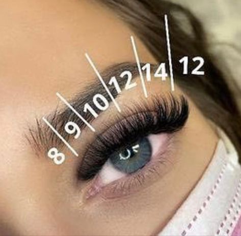 Natural Fake Eyelashes, Best Lash Extensions, Lash Extentions, Maquillage On Fleek, Lashes Fake Eyelashes, Eyelash Tips, Eyelash Technician, Lash Extensions Styles, Eyelash Extensions Styles