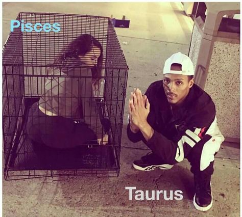 Pisces and taurus Relationship Taurus Men And Pisces Women, Pisces X Taurus, Pisces And Taurus Relationship, Taurus And Pisces, Zodiac Jokes, Taurus Relationships, Pisces Relationship, March Pisces, Pisces And Taurus