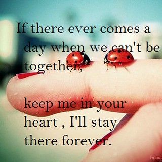 Ladybug Quotes, Lady Bug Tattoo, Cant Be Together, Miss You Dad, Ladybug Art, Lady Bug, Timeline Photos, Favorite Quotes, Me Quotes