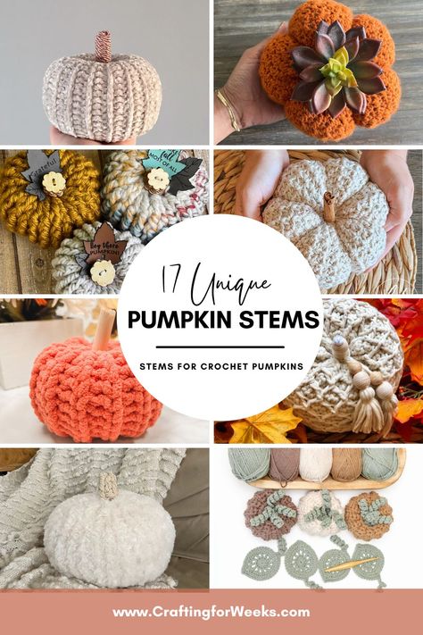 Need some ideas on how to finish your crochet pumpkins? Here's a list of 17 fun ideas to try out for your handmade pumpkins! Plus notes on the best ways to attach each one and links to create patterns to try them out on! How To Crochet A Pumpkin Stem, Crocheted Pumpkin Patterns, Handmade Pumpkins, Pumpkin Crochet Pattern, Pumpkin Stems, Diy Pumpkins, Pumpkin Vine, Crochet Pumpkins, Fall Crochet