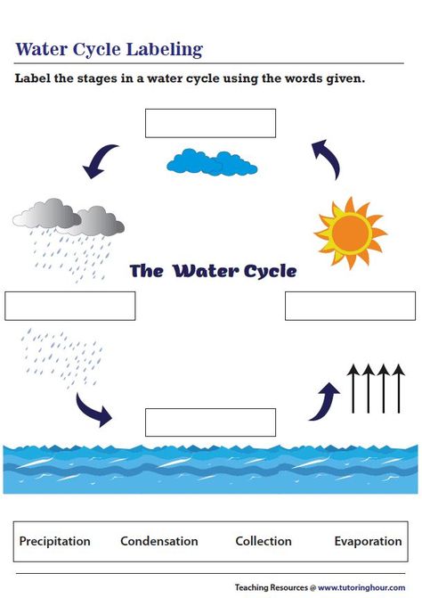 Water Cycle Labeling Worksheet The Water Cycle Worksheet, Social Geography, Tema Air, Water Cycle Lessons, Water Cycle Experiment, Evs Worksheet, Water Cycle Diagram, Water Cycle Worksheet, Word Puzzles For Kids