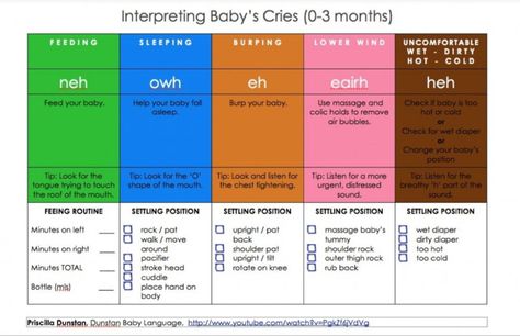 Interpreting baby's cries (0-3 months) - dunstan baby language Dunstan Baby Language, 11 Month Old Baby, Toddler Sleep Training, Baby Language, Baby Cry, Baby Sounds, Baby Education, Baby Facts, Baby Sleep Problems