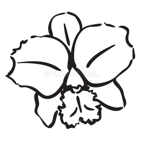 Orchid. Cattleya orchid Flower simple line vector drawing illustration isolated , #AD, #Flower, #simple, #line, #Orchid, #Cattleya #ad Cattleya Drawing, Wax Painting Art, Bouquet Of Lilies, Orchid Drawing, Pocket Watch Tattoos, Flower Simple, Orchid Tattoo, Cattleya Orchid, Line Vector