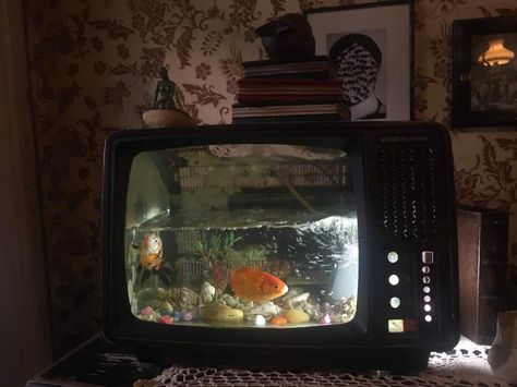 this fishtank made from an old TV Tv Fish Tank Vintage, Old Box Tv Aesthetic, Box Tv Aesthetic, Old Tv Aesthetic, Environment Art, Pose References, Sketchbook Ideas, Box Tv, Creepy Art