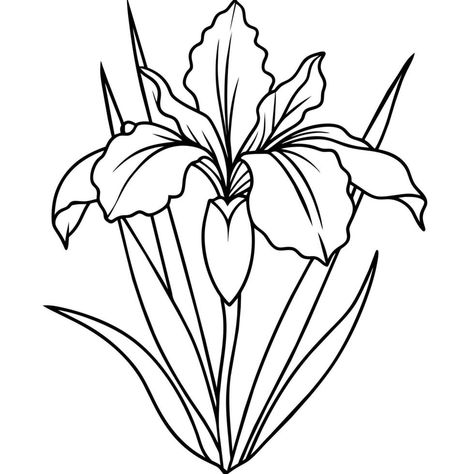 Plant Outline, Book Page Design, Purple Iris Flowers, Black And White Line Art, White Line Art, Outline Illustration, Line Art Drawing, Iris Flower, Purple Iris