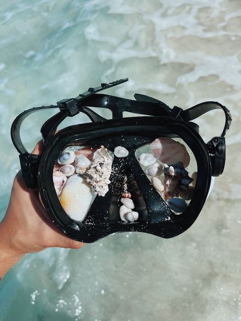 Scuba Diving Mask, Snorkel Set, Snorkeling Gear, Scuba Diving, Snorkeling, Diving, Art Ideas, To Draw, Shells