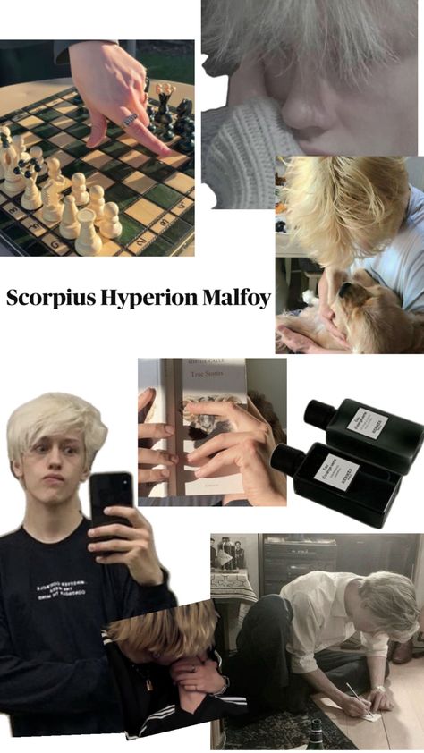 My beloved- Scorpius Malfoy Scorpious Malfoy, Scorpius Malfoy, Harry Potter Next Generation, Lily Potter, Harry Potter, Lily