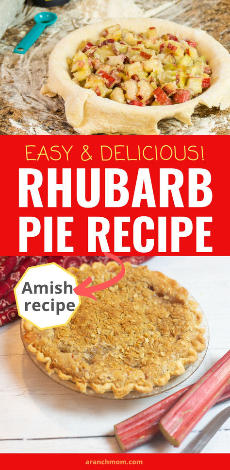 Rhubarb pie with crumble topping Rhubarb Pie Recipes, Rubarb Pie, Oatmeal Pie Crust, Rhubarb Crumble Pie, Rhubarb Pie Recipe, Strawberry Rhubarb Pie Recipe, Rhubarb Recipes Pie, Homemade Pie Recipes, Oatmeal Pie