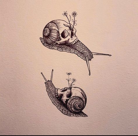 Snail Skull Tattoo, Snail With Skull Shell, Skull Snail, Snail Tattoo, Shell Drawing, Stomach Tattoos, Tattoo Inspo, Tattoos And Piercings, Skull Tattoo