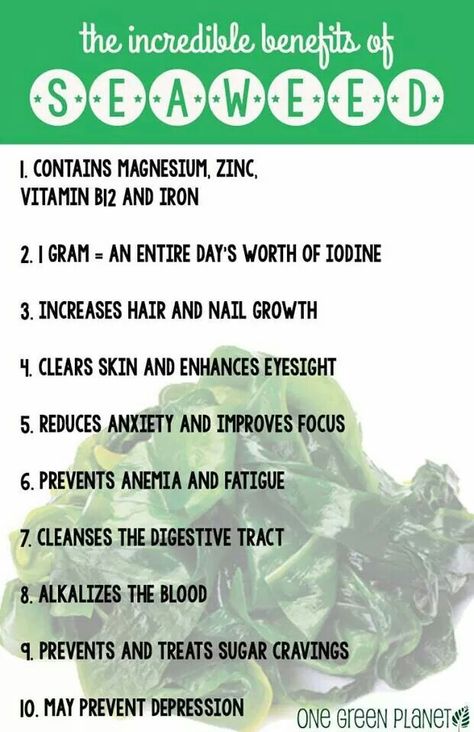 Benefits of Seaweed Benefits Of Seaweed, Desayuno Keto, Tomato Nutrition, Matcha Benefits, Coconut Health Benefits, Benefits Of Coconut Oil, Improve Focus, Vegan Diet, Health Problems