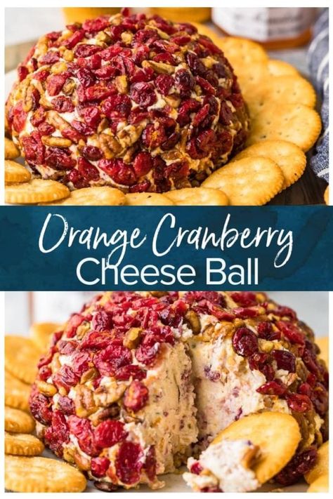 Cranberry Cheese Ball, Goat Cheese Ball, Cranberry Goat Cheese, Honey Roasted Pecans, Cheese Ball Bites, Cranberry Cinnamon, Fried Goat Cheese, Cheese Ball Recipe, Holiday Cheese