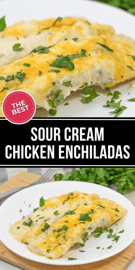 Recipes With Corn Tortillas, Sourcream Chicken Enchiladas, Sour Cream Chicken Enchilada Casserole, Sour Cream Chicken Enchilada Recipe, Sour Cream Chicken Enchiladas, Cream Chicken Enchiladas, Sour Cream Enchiladas, Enchilada Ingredients, Cream Chicken