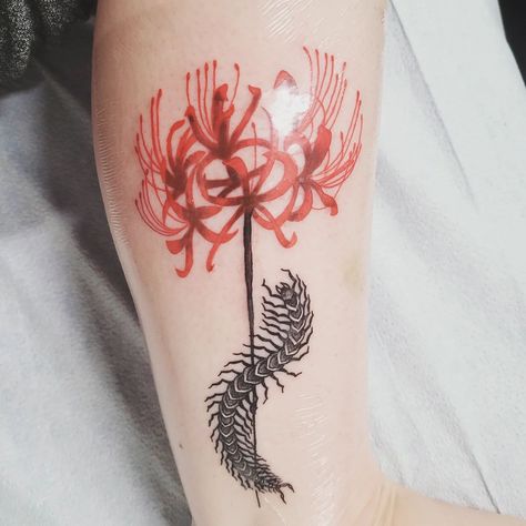 @kaur_daljeett did this anime inspired tattoo from Tokyo Ghoul, of a red spider lily with a centipede, done in an anime style, though semi colour realistic. Tokyo Ghoul Tattoo Spider Lily, Centipede With Flowers Tattoo, Red Spider Lily And Centipede Tattoo, Tokyo Ghoul Matching Tattoos, Spider Lily Tokyo Ghoul Tattoo, Centipede Tattoo Design Tokyo Ghoul, Tokyo Ghoul Centipede Tattoo Design, Spider Lilly Tatoos Tokyo Ghoul, Tokyo Ghoul Inspired Tattoo