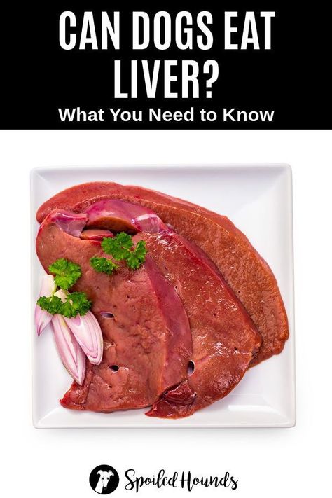 How To Cook Liver For Dogs, Beef Liver Dog Food, Beef Liver For Dogs, Beef Heart Recipe, Calves Liver, Liver Dog Treats, Dogs Eating, Cow Liver, Liverwurst