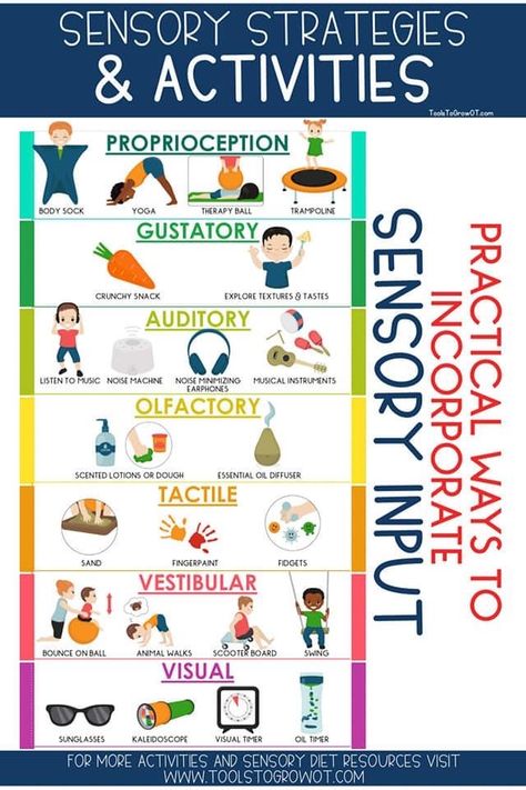 Sensory Processing Activities, Sensory Integration Activities, Proprioceptive Activities, Occupational Therapy Kids, Therapy Ball, Sensory Therapy, Occupational Therapy Activities, Sensory Diet, Pediatric Occupational Therapy