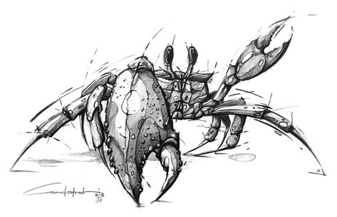 Crabby Illustration, Crabby Drawing, Crab Sketch, Crab Drawing, Art And Drawing, Salvation Tattoo, Crab Tattoo, Sea Creatures Art, Crab Art