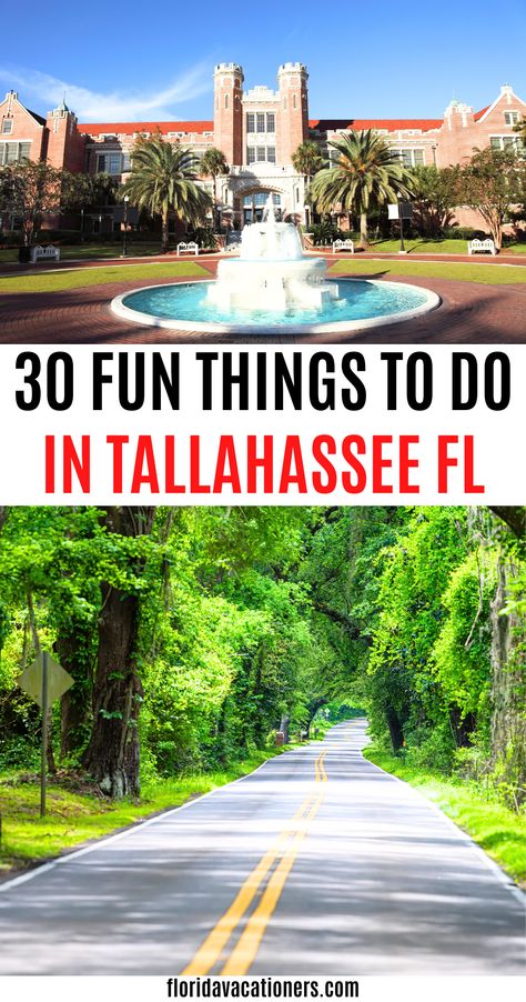 30 Best Things To Do In Tallahassee, FL | fun things to do in tallahassee | what to do in tallahassee florida | things to do in tallahassee florida with kids | free things to do in tallahassee florida for couples including the best restaurants | places to visit in tallahassee florida | tallahassee florida travel tips | tallahassee florida travel | tallhassee bucket list | #thingstodo #tallahassee #florida #usa #travel Florida With Kids, Florida Attractions, Florida Parks, Florida Destinations, Florida Springs, Places In Florida, Tallahassee Florida, Visit Florida, Free Activities