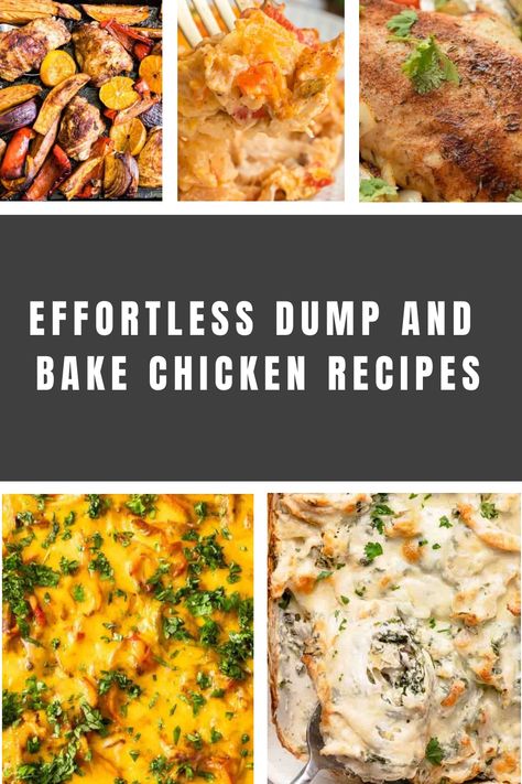 Looking for easy dump and bake chicken recipes? These delicious dump and bake dinners featuring chicken will save you time in the kitchen with minimal prep work. From creamy casseroles to flavorful one-pan meals, these recipes are perfect for busy weeknights or lazy weekends. Say goodbye to complicated cooking and try out these convenient dump and bake chicken recipes today! Dump And Bake Meals Easy Dinners, Dump And Bake Recipes Chicken, Dump Chicken Casserole, Baked Chicken Meals, Dump Casserole Recipes, Chicken Dump Recipes, Dump And Bake Casseroles, Bake Chicken Recipes, Dump And Bake Recipes