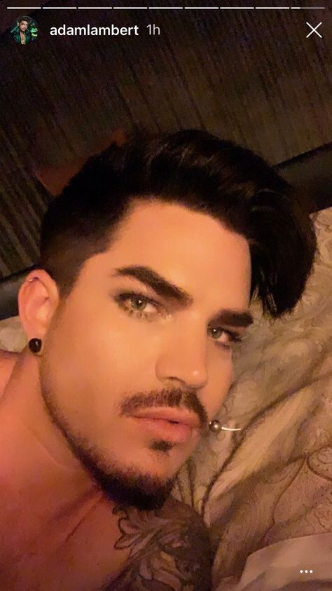 Adam Lambert Concert, Adam Style, Gemma Arterton, Bradley Cooper, Christina Hendricks, Janet Jackson, Adam Lambert, Amber Heard, Elizabeth Taylor