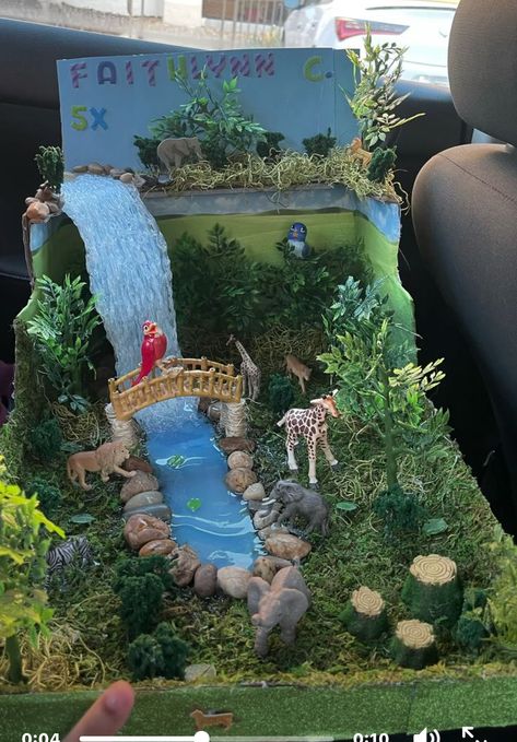 3d Ecosystem Project, Ecosystem Diorama, Grassland Ecosystem, Ecosystems Diorama, Installation Ideas, Desain Buklet, Science Projects For Kids, Fun Easy Crafts