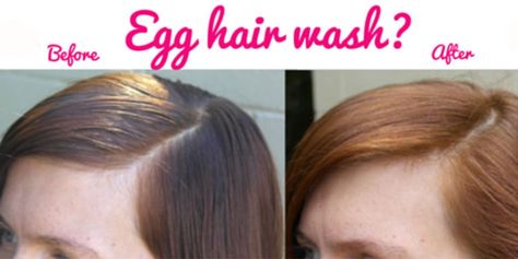 Egg hair wash – a cracking alternative to shampoo - CosmopolitanUK Egg Shampoo, Egg Hair, Yogurt Hair Mask, Egg For Hair, Healthy Shiny Hair, Diy Hair Mask For Dry Hair, Avocado Hair Mask, Hair Mask For Damaged Hair, Wash Hair