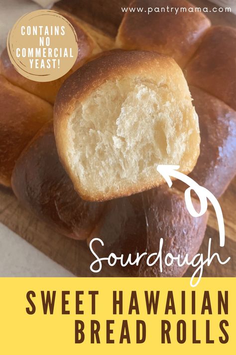 Active Sourdough Starter Recipes, Sourdough Bread Rolls, Hawaiian Bread Rolls, Pantry Mama, Hawaiian Bread, Simple Sourdough, Recipe Using Sourdough Starter, Sourdough Rolls, Discard Recipe