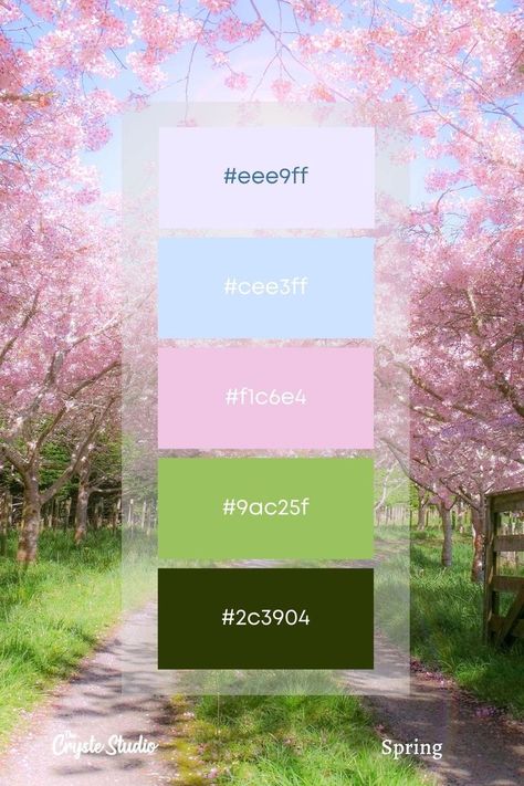 Color Coding Notes, Winter Pastels, Color Design Inspiration, Hex Color Palette, Spring Palette, Spring Color Palette, Stunning Hairstyles, Pink Palette, Color Palette Pink