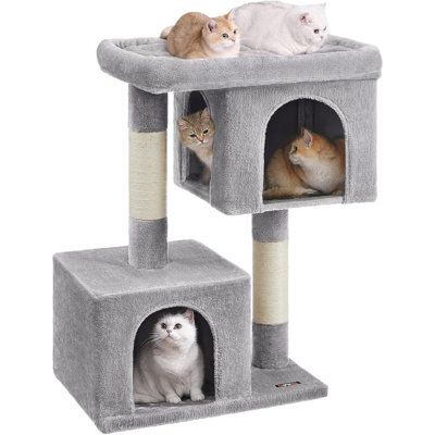 This cat tree features a large 22" x 15.7" perch with well-padded raised edges, offering roomy space for your cat to fully stretch out and relax comfortably. Ideal for 1 large or chubby cat or 2 small cats snuggling together.The upper 2-door cave offers a wide view and easy access. The lower single-door cave is a hideaway for sleepyheads to take a nap and is also great for older cats who have trouble jumping and kittens who are still getting the hang of jumpingThe multi-level design is easy for Small Cat Tree, Cat Tree Condo, Older Cats, Cat Perch, Cat Stands, Cat Cave, Senior Cat, Cat Condo, Gerbil