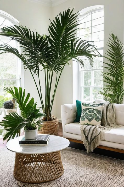 9 Best Indoor Palm Plants Parlor Palm Decor, Plants Indoor Living Room, Tall House Plants, Indoor Palm Plants, Beach Plants, Png Plants, Potted Palm Trees, Indoor Palm, Sunroom Office