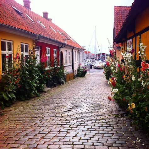 Danish Countryside, Baltic Sea Cruise, Pretty Cities, Beautiful Scenes, Fairytale Castle, Travel Bug, Village Life, Copenhagen Denmark, Travel Design