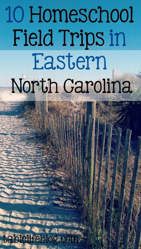 10 Homeschool Field Trips in Eastern North Carolina Field Trip Ideas, North Carolina History, Uss North Carolina, Eastern North Carolina, Homeschool Field Trips, Living In North Carolina, Usa Roadtrip, School Field Trip, Virtual Field Trips