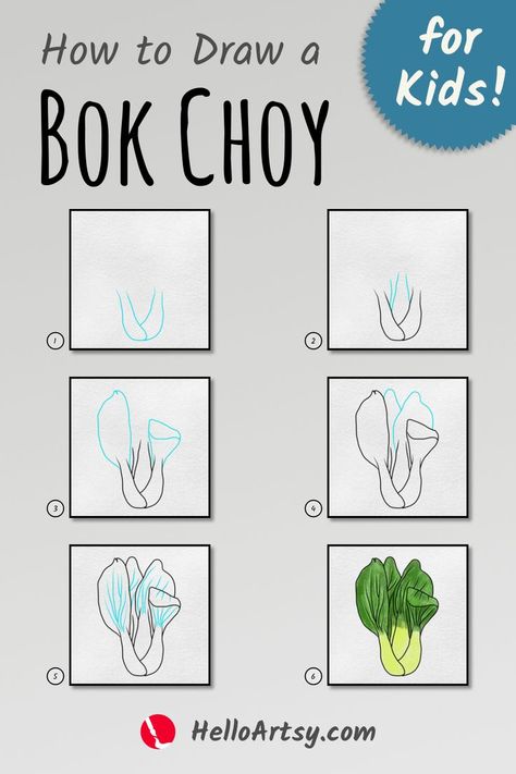 Step by step images demonstrating how to draw a bok choy drawing - A Drawing Tutorial for Kids! Draw Vegetables, Vegetable Drawings, Steps To Draw, Vegetable Drawing, Drawing Lessons For Kids, Farm Projects, Drawing Lesson, Bullet Journal Doodles, Learn How To Draw