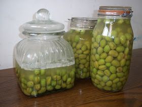 Penniless Parenting: Foraging Olives- Homemade Pickled Olives and Olive Leaf Medicine Pickled Olives, Olive Recipes, Olive Leaf, My Favorite Things, A Child, Cucumber, Favorite Things, Anti Aging, Medicine