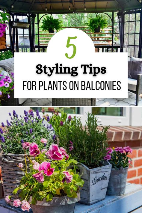 Plants are a perfect way to add more than just greenery to a balcony. With the right styling, you can use them for texture, color and pattern, both in the plants and their pots. Of course, it’s worth considering standard decorating principles when using plants, even outside. So, here are some useful styling tips for plants on balconies to add the most value to your space. Potted Plants Balcony, Balcony Hacks, Balcony Plants Ideas, Modern Balcony Garden, Balcony Garden Ideas Apartment, Balcony Garden Decor Ideas, Plants On Deck, Balcony Oasis, Flower Arrangements Ideas