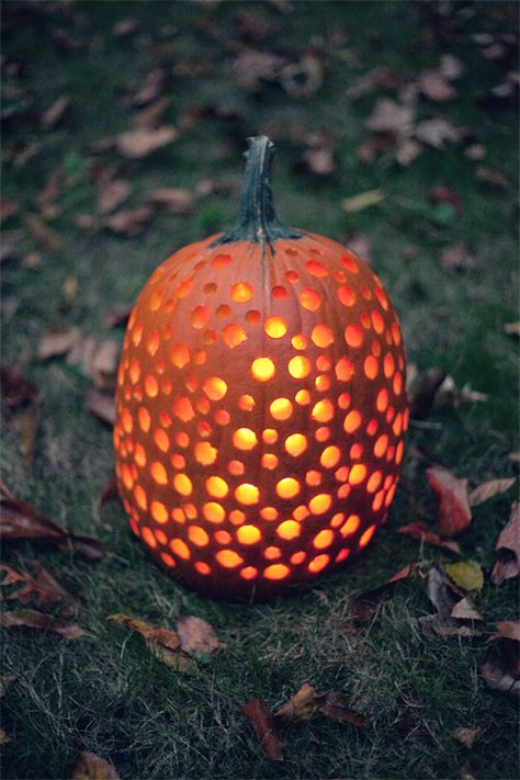 Use a drill to make this polka dot pumpkin. Constellation Pumpkin Carving Ideas, Awesome Pumpkin Carvings, Unique Pumpkin Carving Ideas, Pumkin Decoration, Pumpkin Carving Patterns Free, Polka Dot Pumpkin, Creative Pumpkin Carving, Amazing Pumpkin Carving, Easy Pumpkin Carving