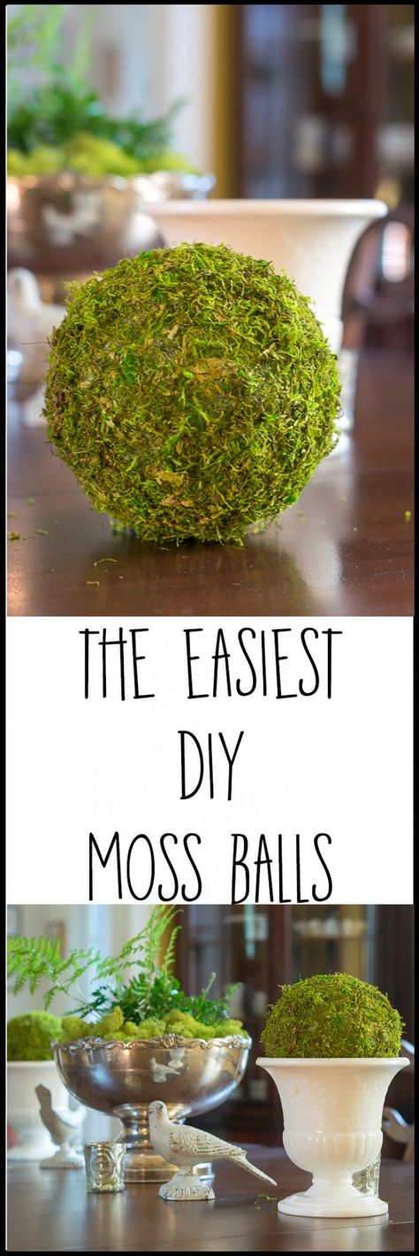 Diy Moss Ball, Diy Moss, Diy Fashion Trends, Diy Spring Crafts, Moss Decor, Moss Balls, Baby Shower Decor, Summer Home, Create Diy