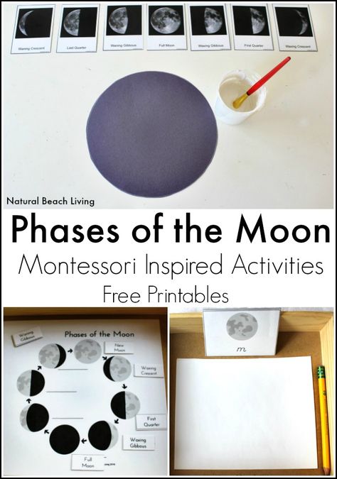 The Best Moon Activities, Montessori Inspired Astronomy Unit Study, Phases of the moon, Crafts, A Galaxy Salt Tray, Letter m activities & Free Printables Letter M Activities, Solar System Unit, Space Activities For Kids, Moon Activities, Montessori Science, Kindergarten Themes, Moon Crafts, Space Activities, Learning Tips