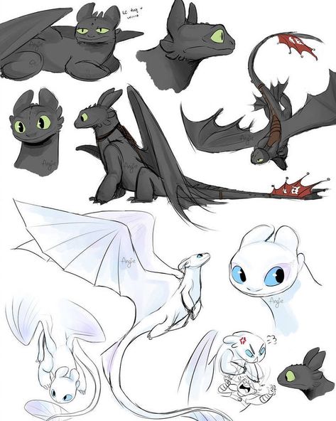 No photo description available. Alpha Toothless, Toothless Light Fury, Night Fury Dragon, The Hidden World, Httyd Art, Toothless Dragon, Light Fury, Dragon Sketch, Httyd Dragons